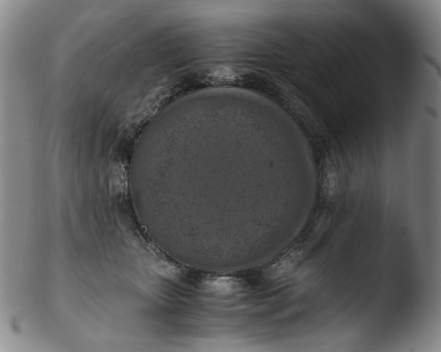 X0000103430467200809261735