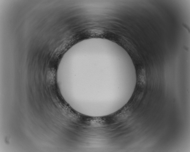 X0000103430468200809261735