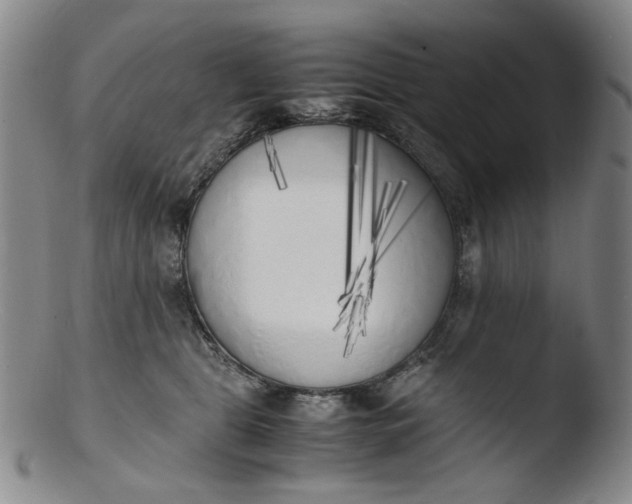 X0000103430469200809261735