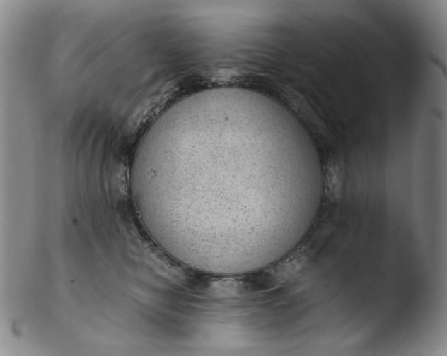 X0000103430470200809261735