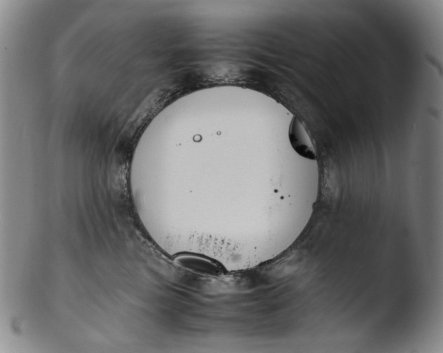 X0000103430473200809261735