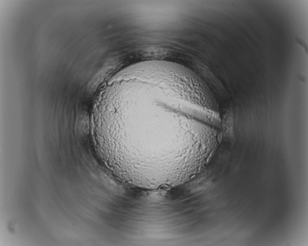 X0000103430474200809261735