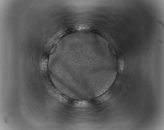 X0000103430475200809261735