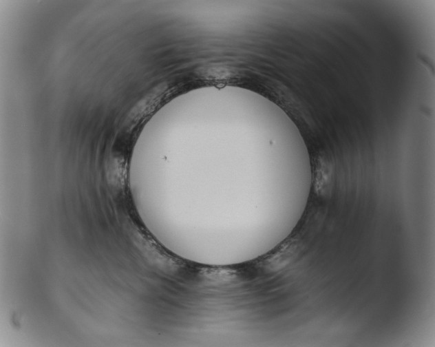 X0000103430476200809261735