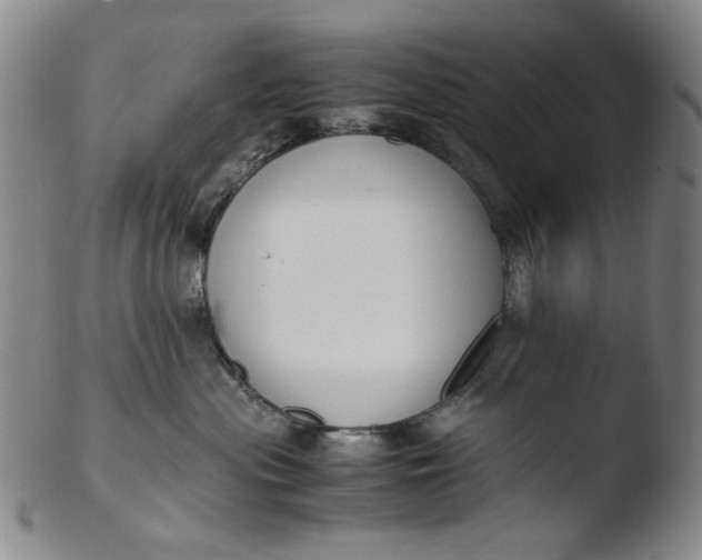 X0000103430477200809261735