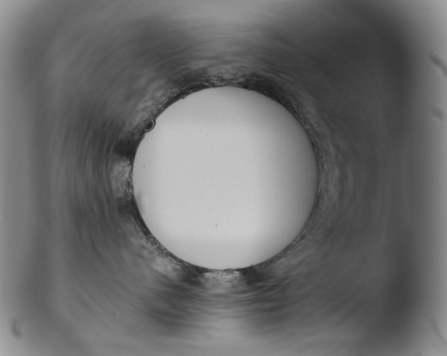 X0000103430480200809261735