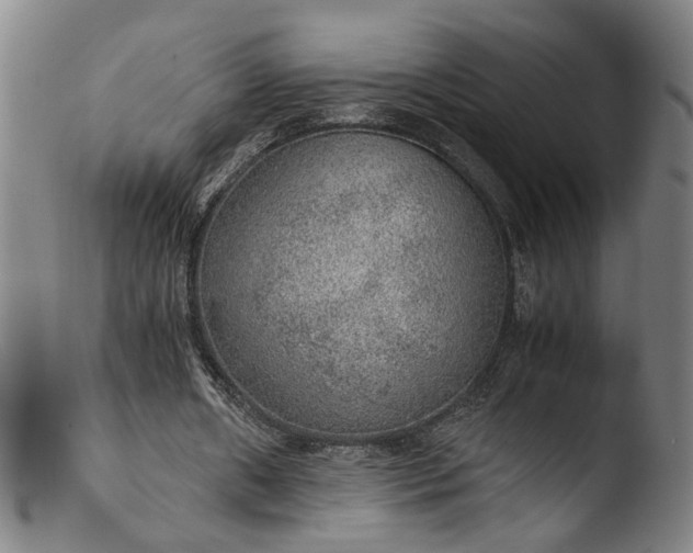 X0000103430482200809261734