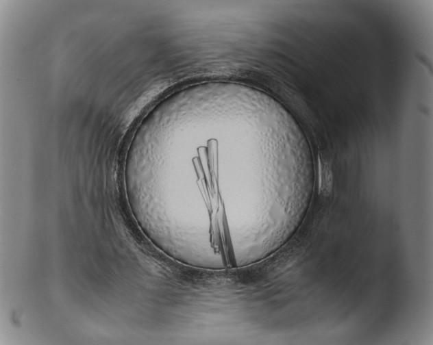 X0000103430483200809261734