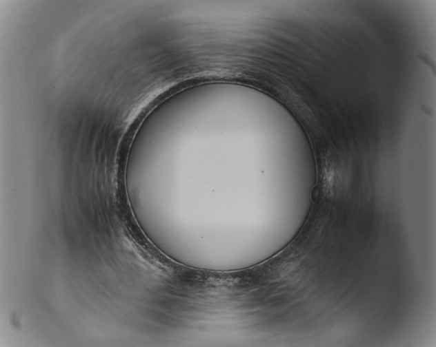 X0000103430484200809261734