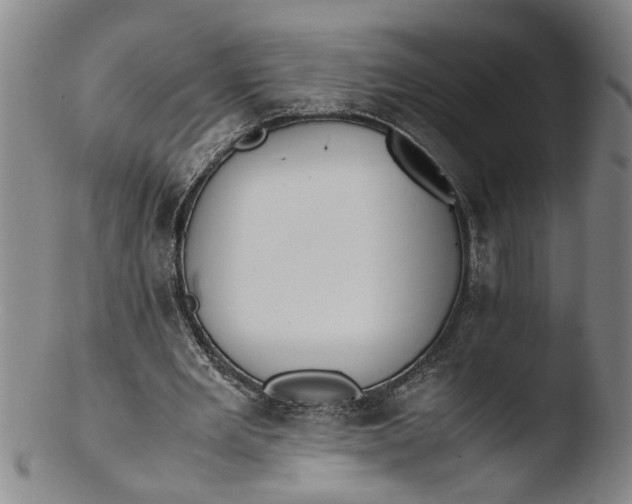 X0000103430485200809261734