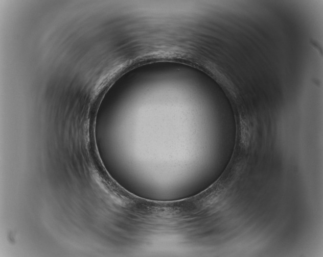 X0000103430486200809261734