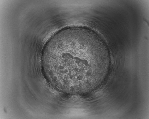 X0000103430487200809261734