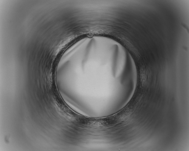 X0000103430488200809261734