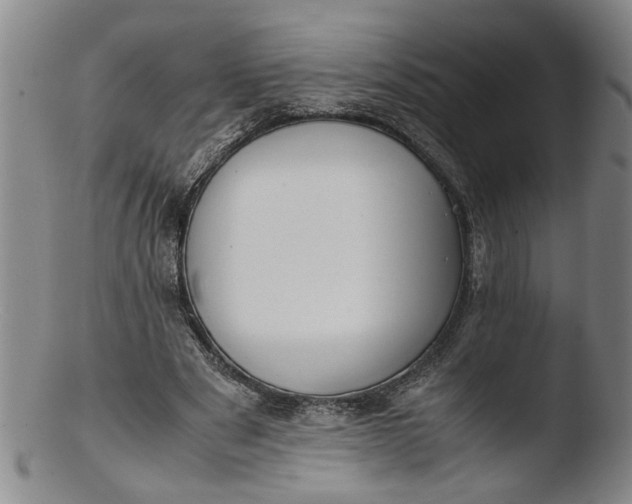 X0000103430489200809261734