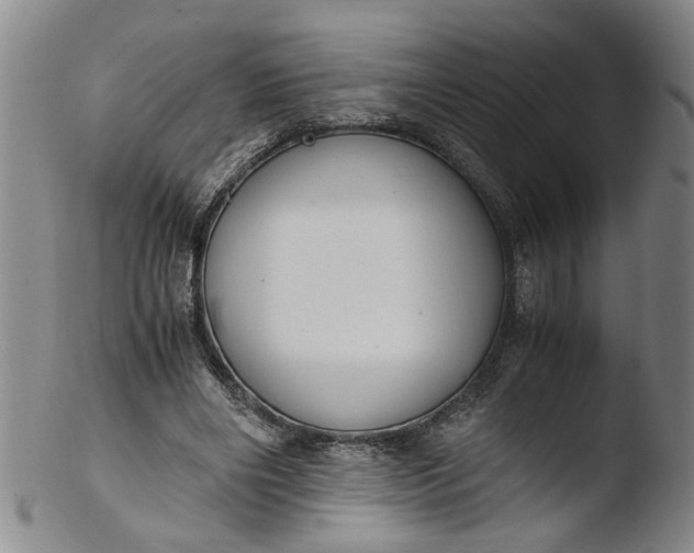 X0000103430490200809261734