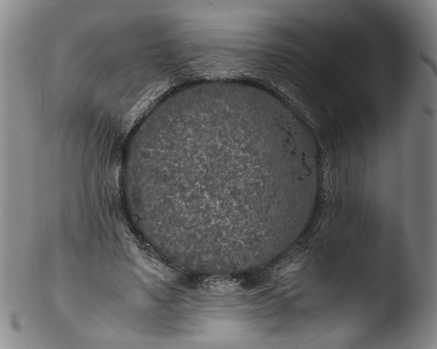 X0000103430491200809261734