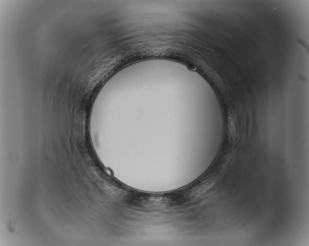 X0000103430493200809261734