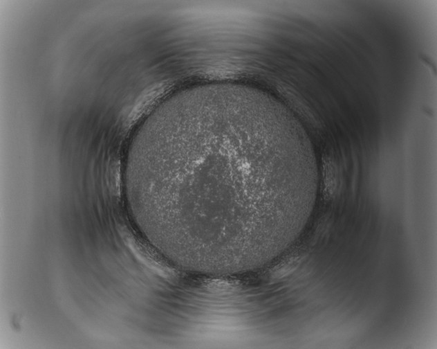 X0000103430494200809261734