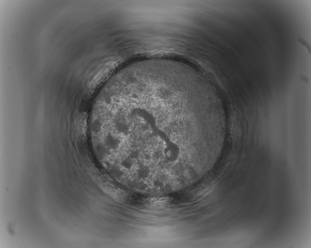 X0000103430495200809261734