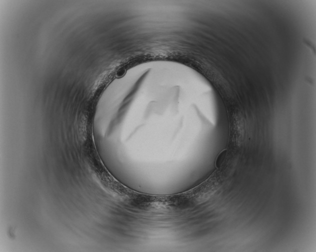 X0000103430496200809261734