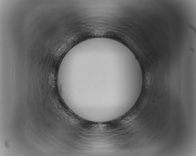 X0000103430497200809261734