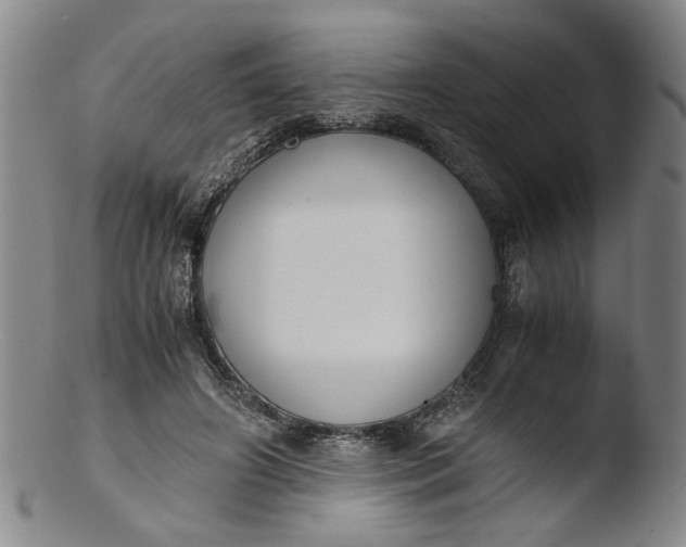 X0000103430498200809261734