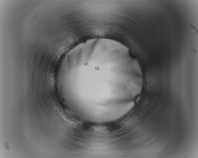 X0000103430500200809261734