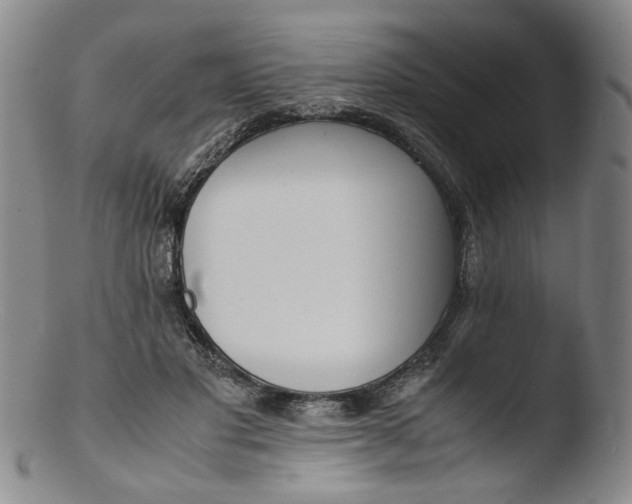 X0000103430501200809261734