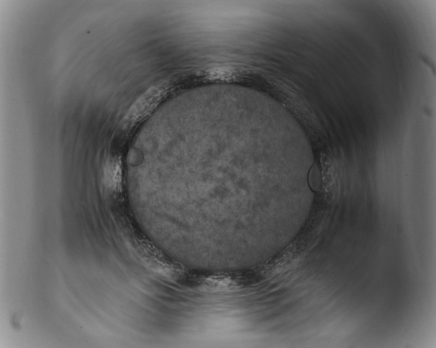 X0000103430502200809261734