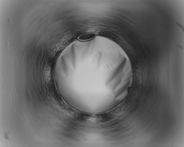 X0000103430504200809261734