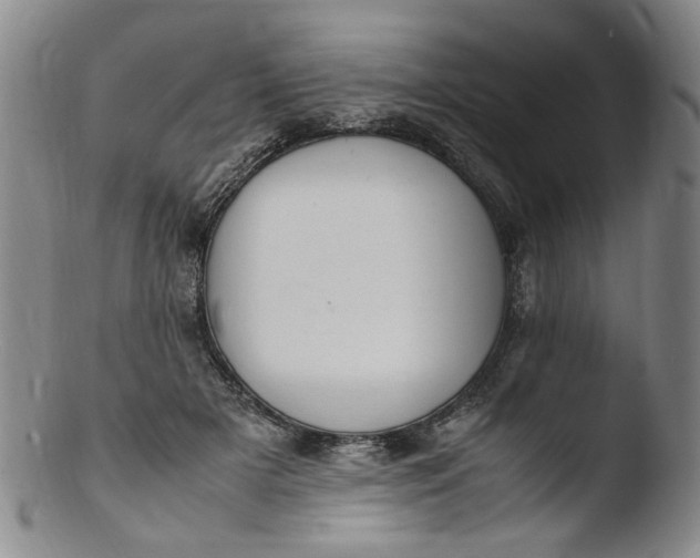 X0000103430505200809261734