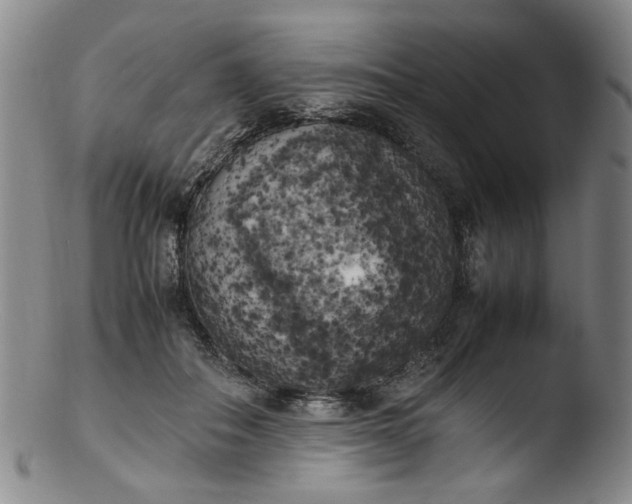 X0000103430506200809261734