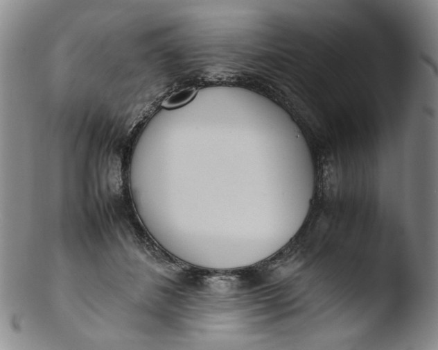 X0000103430508200809261734