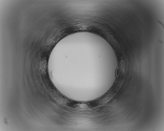 X0000103430509200809261734