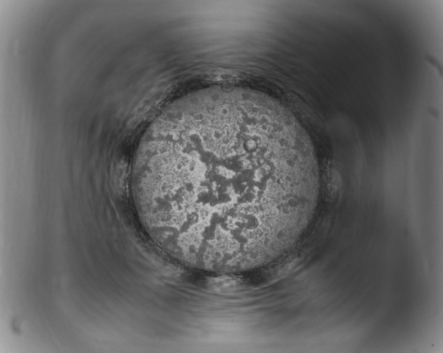 X0000103430511200809261734