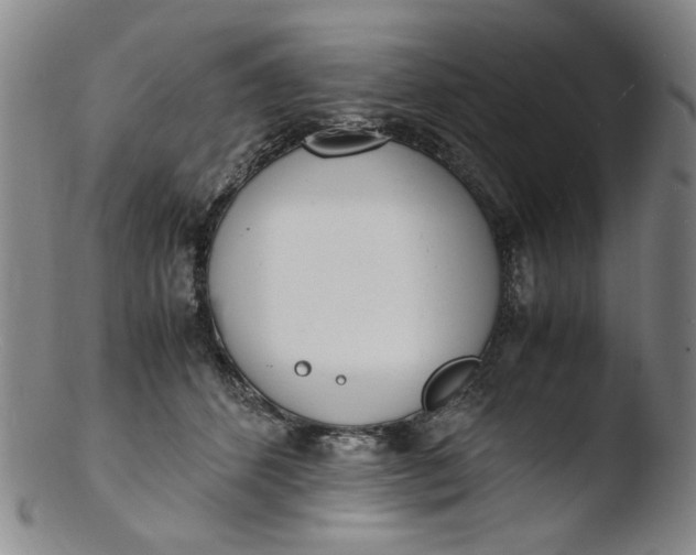 X0000103430512200809261734