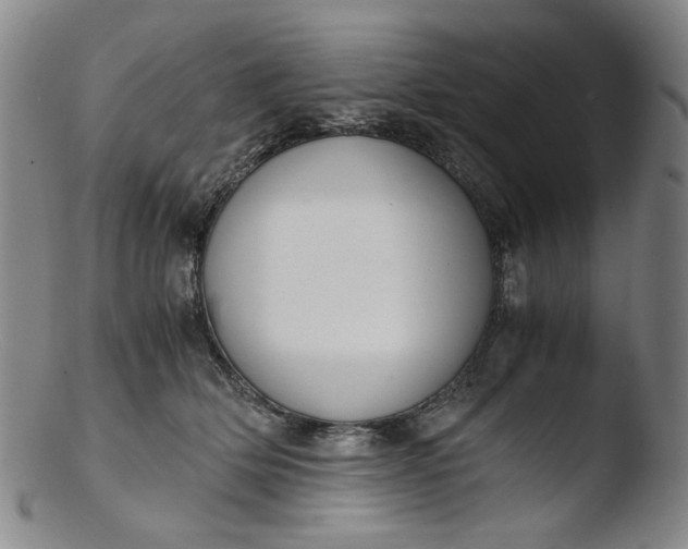 X0000103430514200809261734