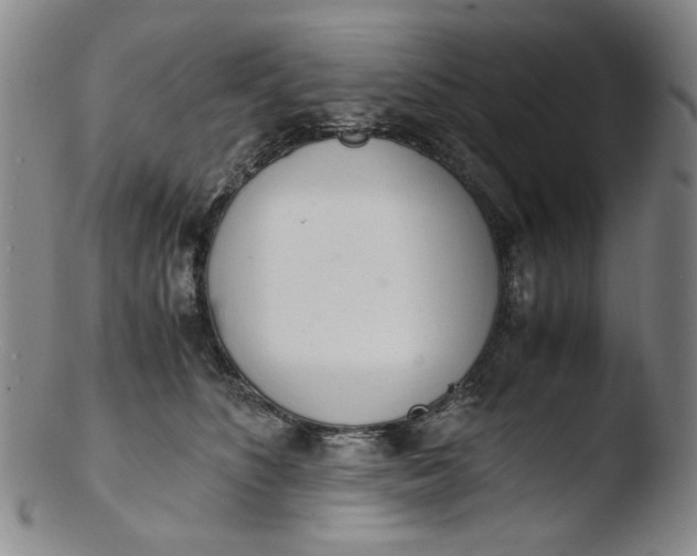 X0000103430516200809261734