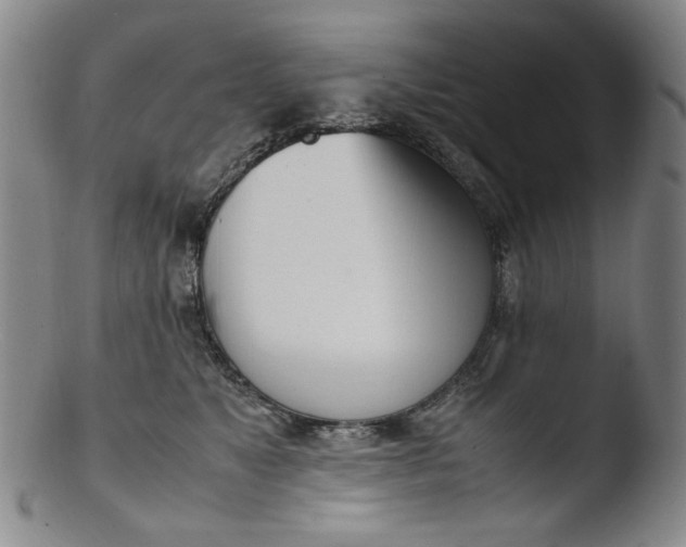 X0000103430517200809261734