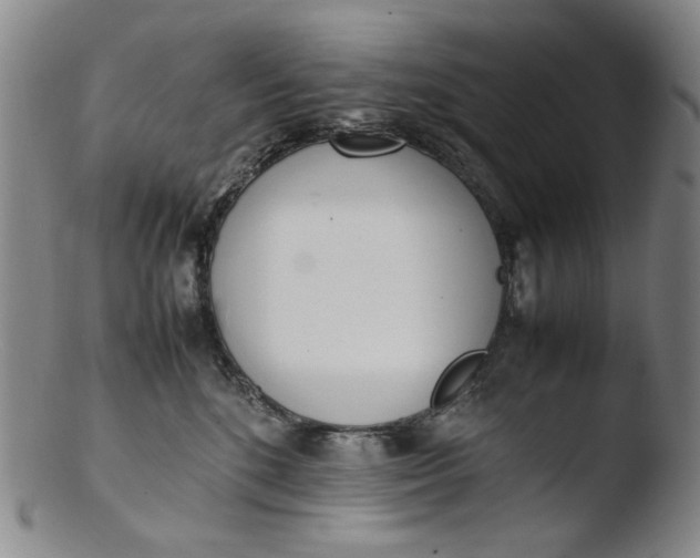 X0000103430520200809261734