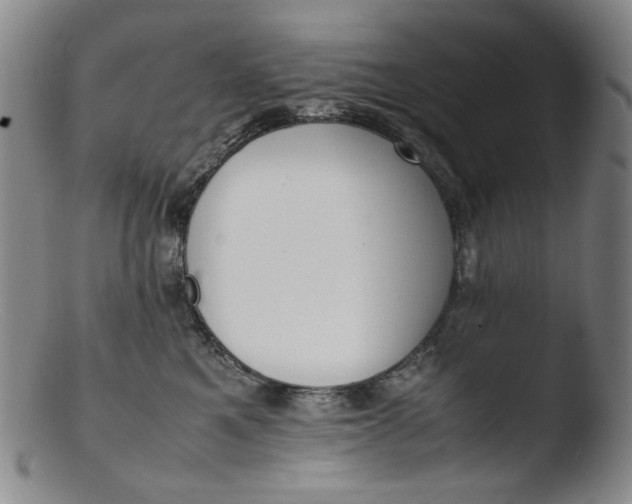 X0000103430521200809261734