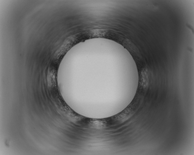 X0000103430522200809261734