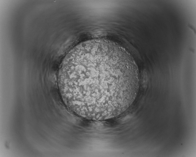 X0000103430523200809261734