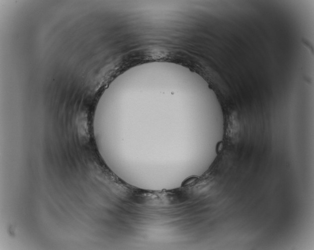 X0000103430524200809261734