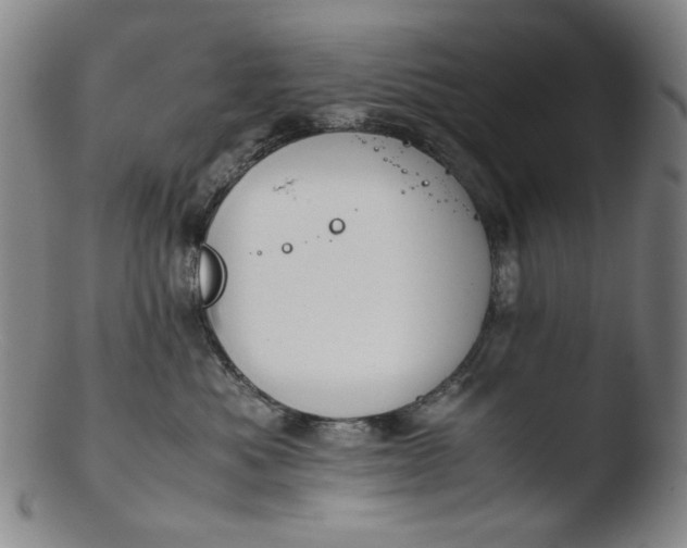 X0000103430525200809261733