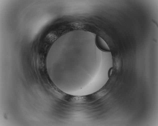 X0000103430526200809261733