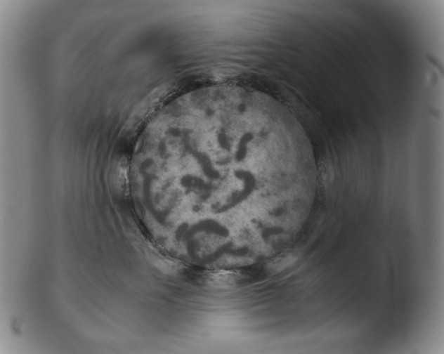 X0000103430527200809261733