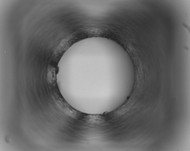 X0000103430528200809261733