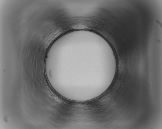 X0000103430529200809261733