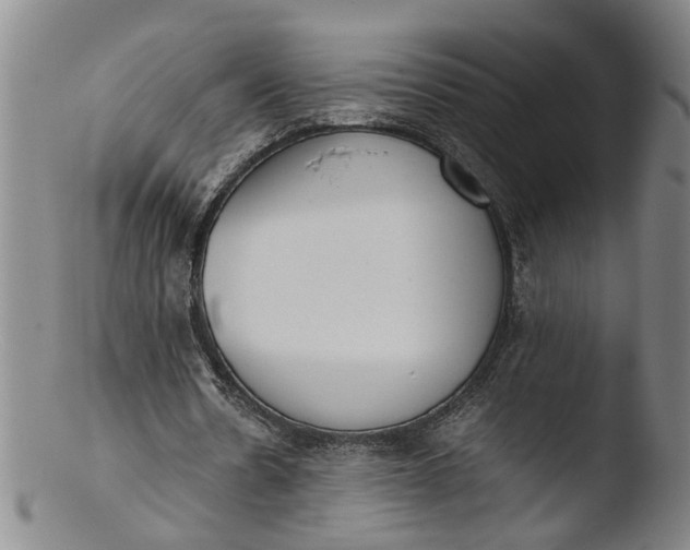 X0000103430530200809261733